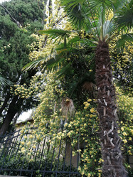 Similar image 21117130