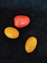 Similar image 21117136