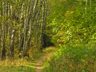 Similar image 21115205