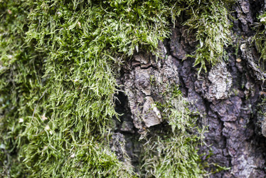 Similar image 21121641