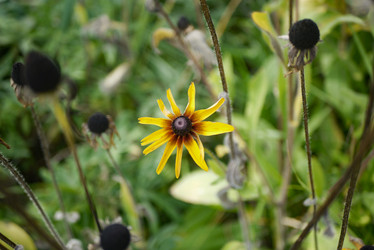 Similar image 21118330