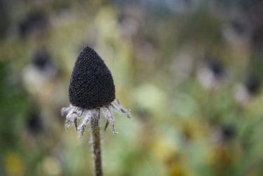 Similar image 21121642