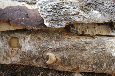 Similar image 21121643