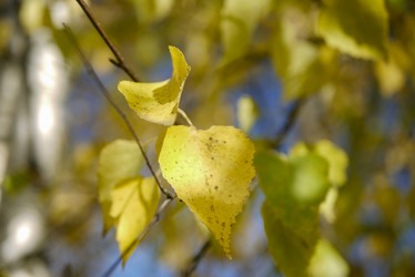 Similar image 21121646