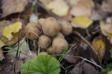 Similar image 21115637