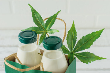 Similar image 21124238