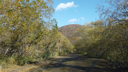 Similar image 21124504