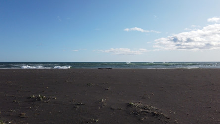 Similar image 21124505