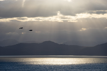 Similar image 21115646