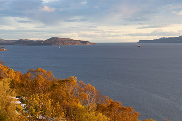 Similar image 21115900