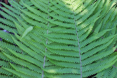 Similar image 21119920