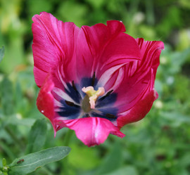 Similar image 21119921