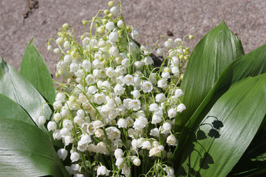 Similar image 21119922