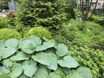 Similar image 21118654