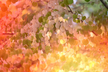 Similar image 21115904