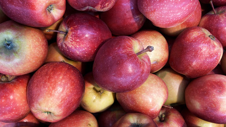 Similar image 21115918