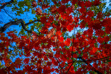 Similar image 21124520