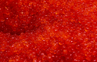 Similar image 21115666