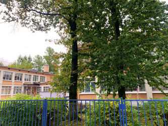 Similar image 21115684