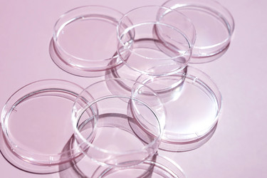 Similar image 21131580