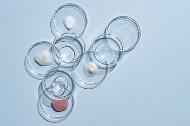 Similar image 21131581