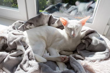 Similar image 21115694