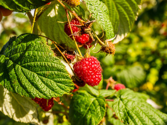 Similar image 21115701