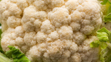 Similar image 21115702