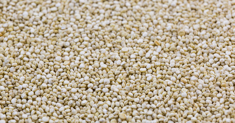 Similar image 21115268