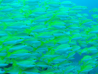 Similar image 21115271