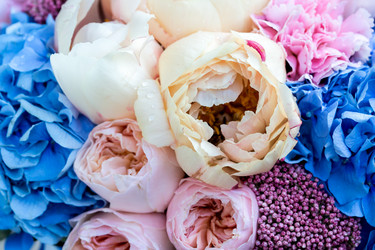 Similar image 21115273