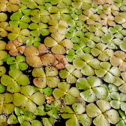 Similar image 21115278