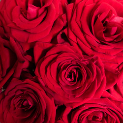 Similar image 21115283