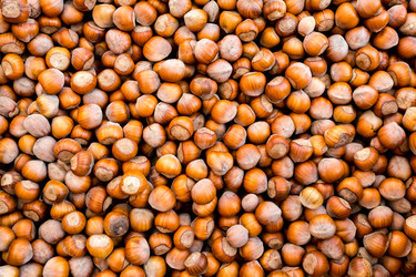 Similar image 21115295