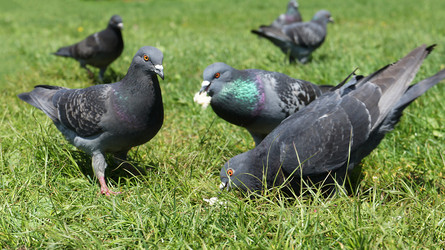 Similar image 21124271