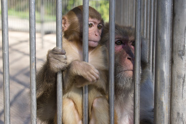 Similar image 21115709