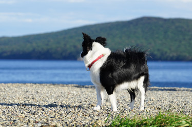 Similar image 21124276