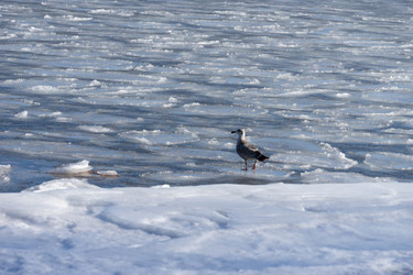 Similar image 21124277