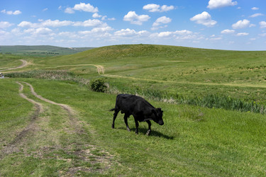 Similar image 21115714