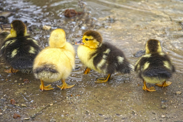 Similar image 21126580