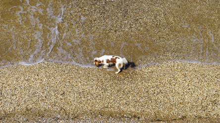 Similar image 21126582