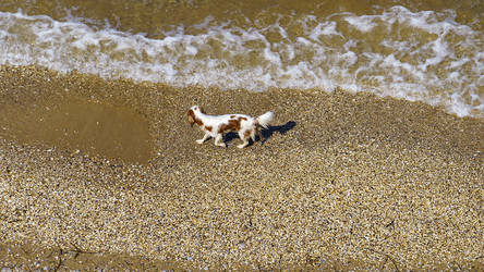 Similar image 21115723