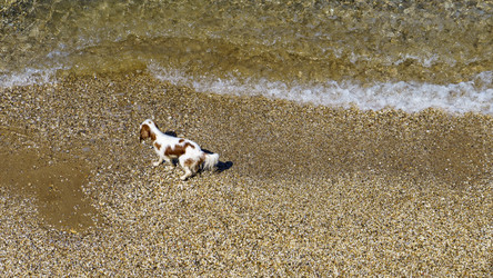 Similar image 21124282