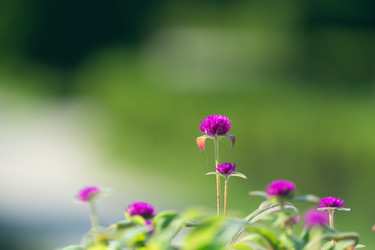 Similar image 21124284