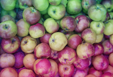 Similar image 21115724