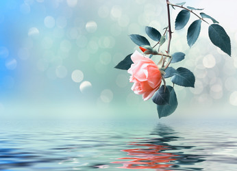 Similar image 21124523