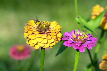 Similar image 21124524