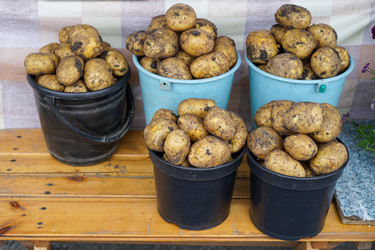 Similar image 21124535