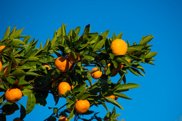 Similar image 21126585