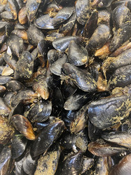 Similar image 21126586